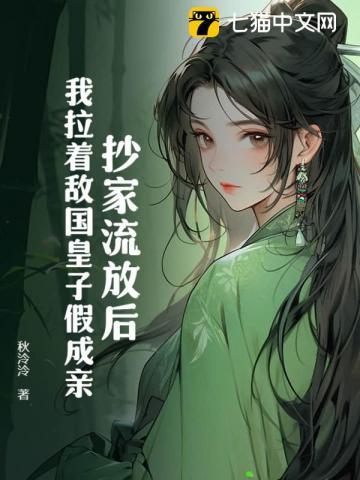 抄家流放后，我拉着敌国皇子假成亲