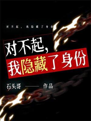 对不起，我隐藏了身份