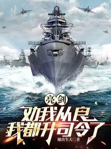 亮剑：劝我从良？我都升司令了