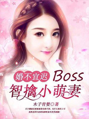 婚不宜迟：Boss智擒小萌妻