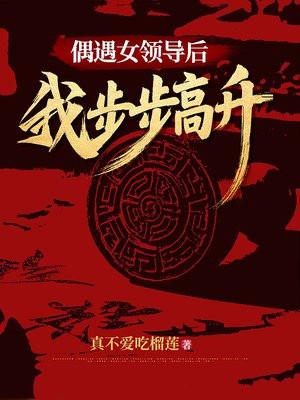 偶遇女领导后，我步步高升