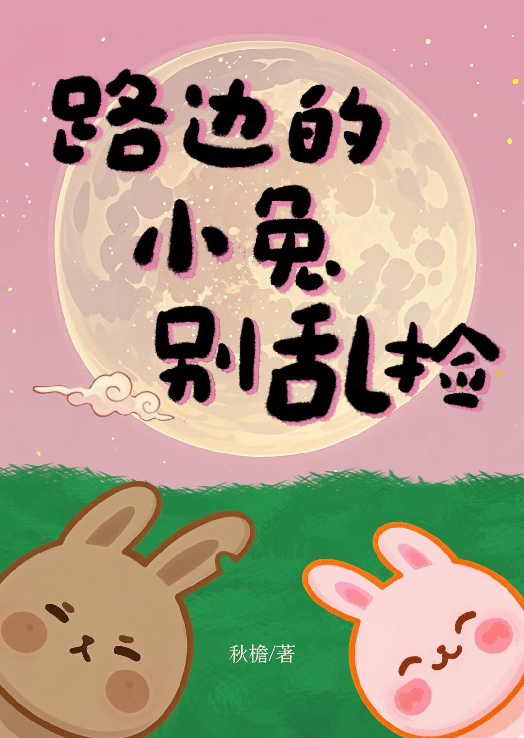 [银魂]路边的小兔别乱捡