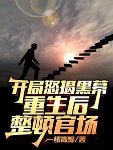 开局怒揭黑幕，重生后整顿官场
