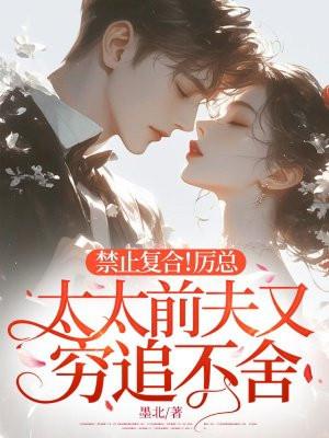 禁止复合！厉总，太太前夫又穷追不舍