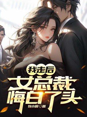 我走后，女总裁悔白了头