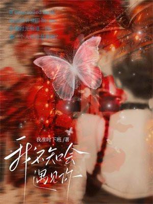 我不知会遇见你 我不知会遇见你