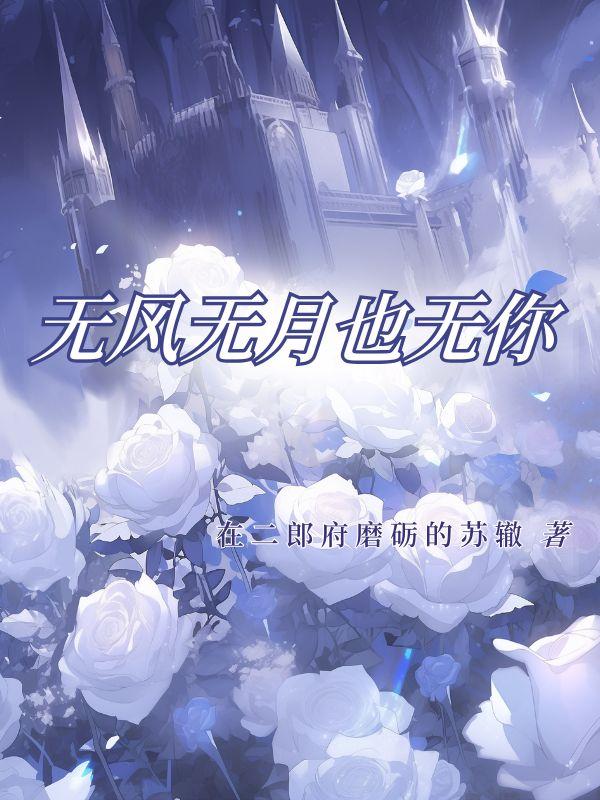 无风无月也无你