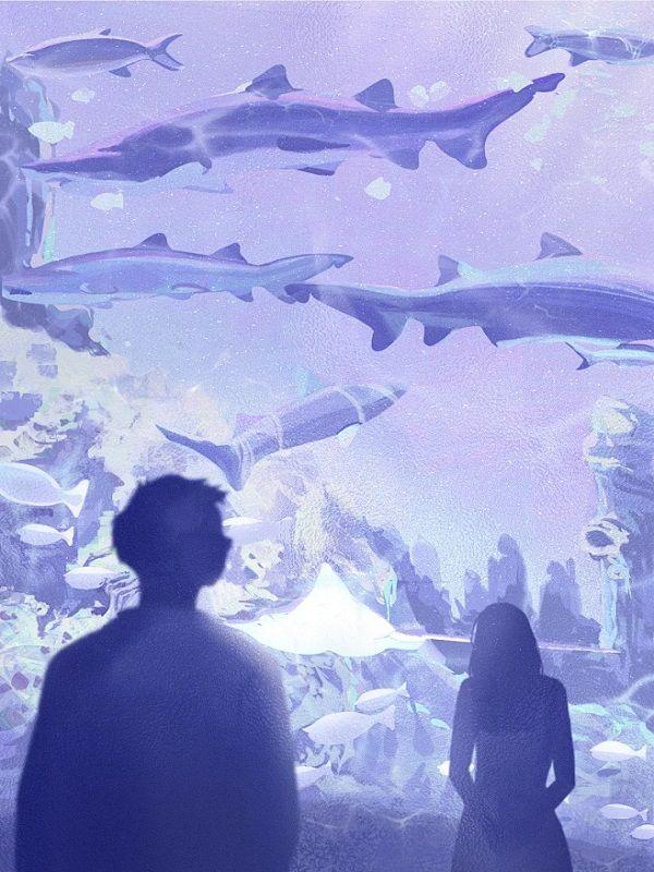 白月光手术失误害我手废了,妻子却帮他隐瞒 白月光手术失误害我手废了,妻子却帮他隐瞒