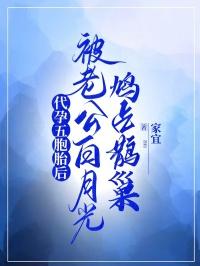 代孕五胞胎后，被老公白月光鸠占鹊巢