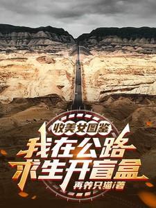 收美女图鉴，我在公路求生开盲盒