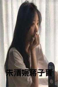 朱清婉蒋子胥小说